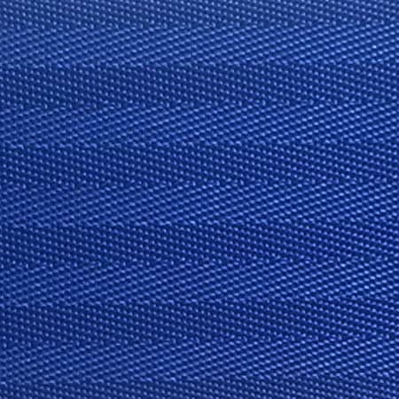 Queue Solutions QueuePro 200, Black, 13' Blue Belt PRO200B-BL130